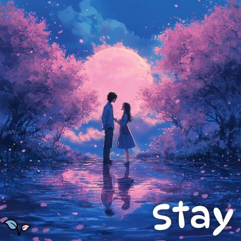stay