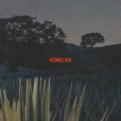 Kümeler