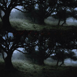 advance (feat. KillKani)