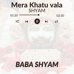 Mera shyam he khas // khatu shyam ji song 2025 (feat. Rajendra yadav)