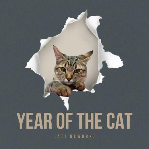 Year of the Cat (ATI Rework)