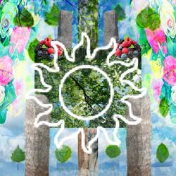 A Leaf, carried by the Wind