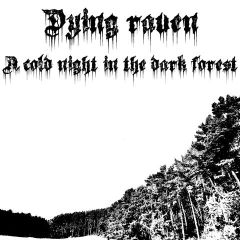 A cold night in the dark forest