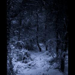 YOU (feat. eastthekid)