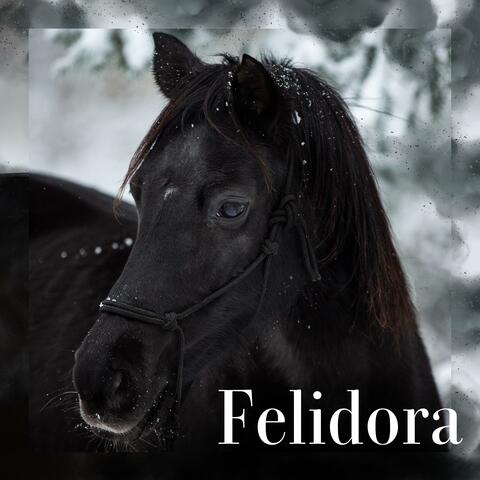 Heart of the Wild (Navinas Song)