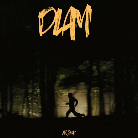 DLAM