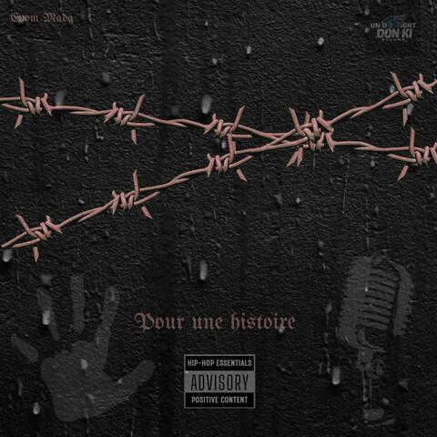 POUR UNE HISTOIRE