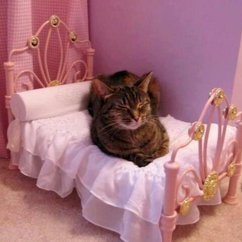 wake me up in an hour