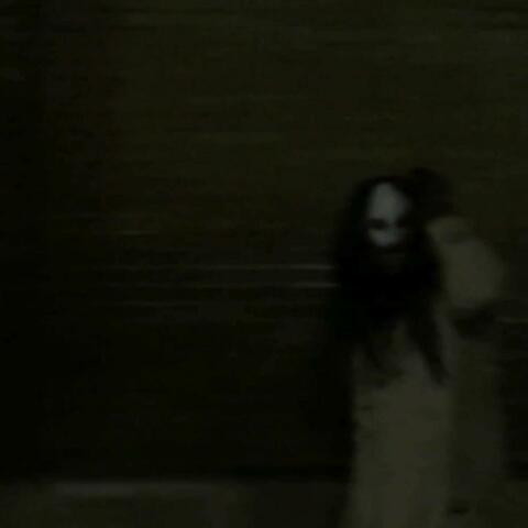 stalker
