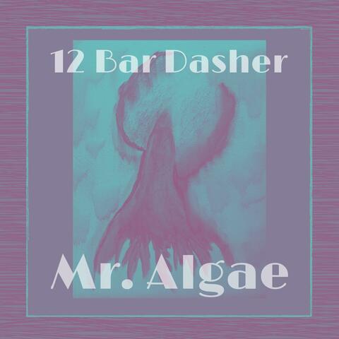 12 Bar Dasher