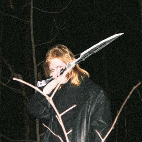 // shadow blade