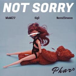Not Sorry (feat. MiaMiZ17, 6ig O & Nesto2Smoove)