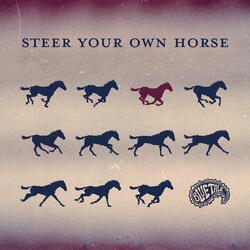 Steer Your Own Horse (feat. Daniel Wytanis)