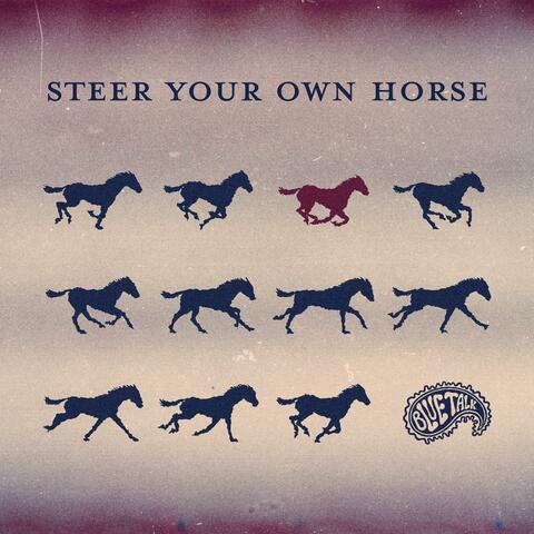 Steer Your Own Horse (feat. Daniel Wytanis)