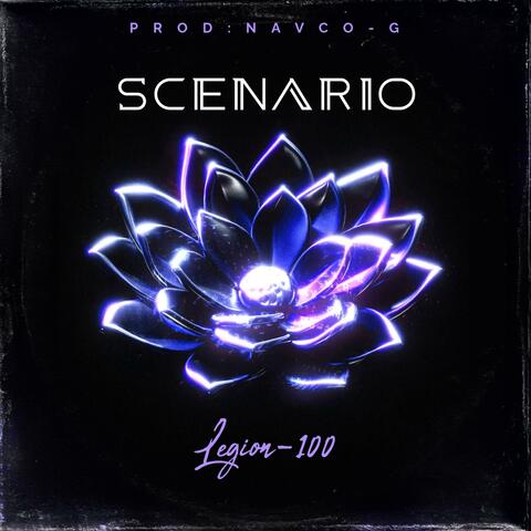 Scenario