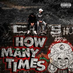 HOW MANY TIMES? (feat. Oza B)