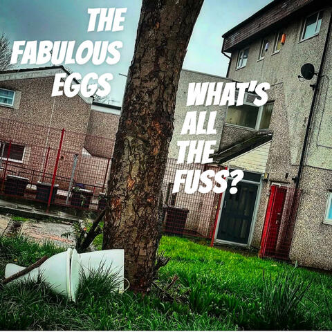 WHAT'S ALL THE FUSS