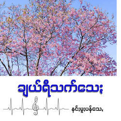 ချယ်ရီသက်သေႏ
