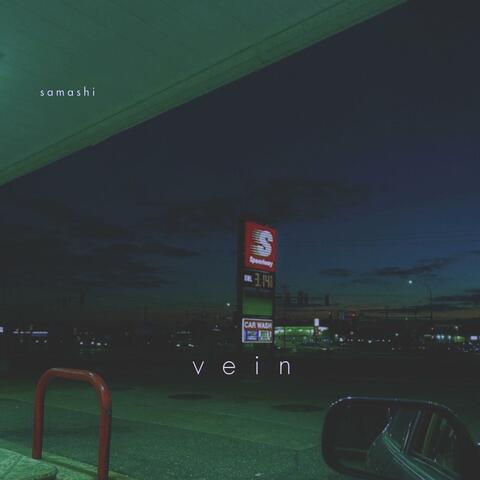 Vein