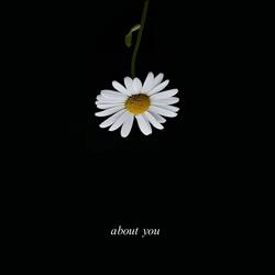 About You