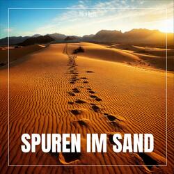 Spuren im Sand