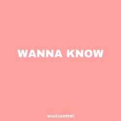 Wanna Know