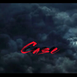 Case