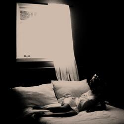 In/Out Of You