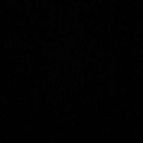 NO ONE Officially Audio