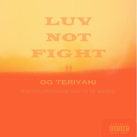 Luv Not Fight