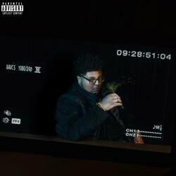 These Shadows Keep Me Company, So You're No Use.