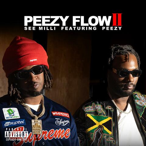 Peezy Flow 2 (feat. Peezy)