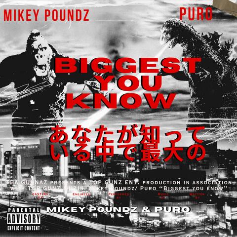 Biggest You Know (feat. Puro)