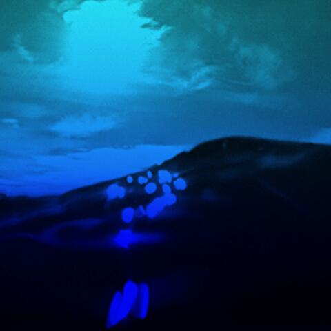 Drowning