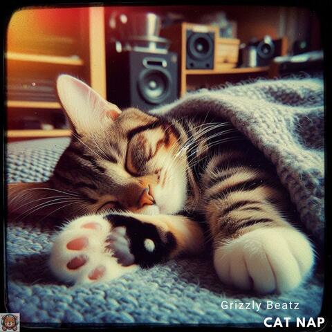 Cat Nap