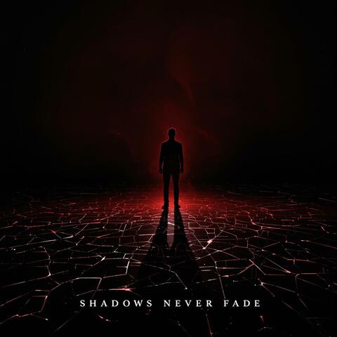 Shadows Never Fade