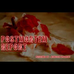 Postmortem Report