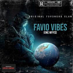 Favio Vibes