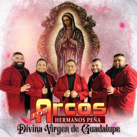 Divina Virgen de Guadalupe