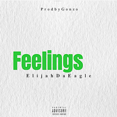 Feelings (feat. ProdbyGonzo)