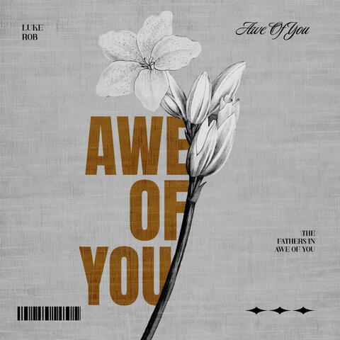 Awe of You