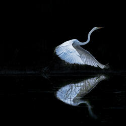 Above the Clouds (Über den Wolken)