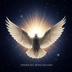 Under His Wing, I'm Safe (Gospel Song)