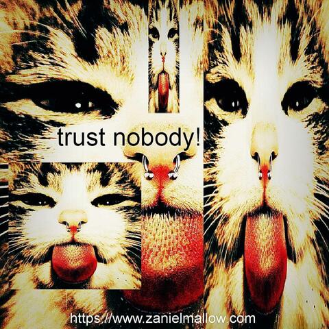 trust nobody! (feat. mallow)