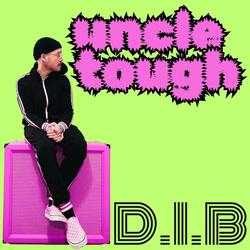 d.i.b (demo version)