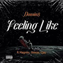 Feeling Like (feat. magnito,steeze,cjay)