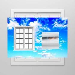 Renovated Blinds