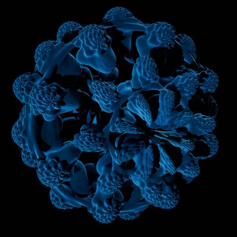 As Microcosm So Macrocosm