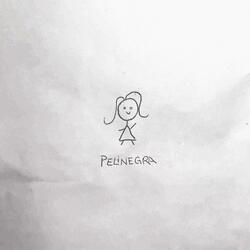 PELINEGRA
