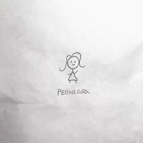 PELINEGRA